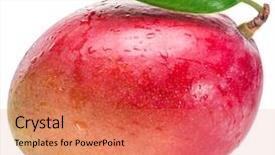  Presentation with mango fruit - Slide deck enhanced with mango fruit with leaf isolated background and a coral colored foreground