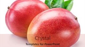  Presentation with mango leaves - Colorful PPT theme enhanced with mango fruit with mango leaves backdrop and a red colored foreground