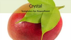  Presentation with mango - Beautiful presentation featuring mango isolated on white background backdrop and a yellow colored foreground