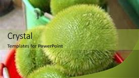  Presentation with mango - Theme consisting of mango-squash-chayote-hair-vegetable background and a yellow colored foreground