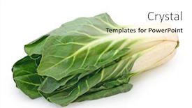  Presentation with background - Presentation theme having mangold-isolated-on-white-background background and a white colored foreground