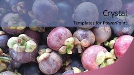  Presentation with mangosteen - Amazing PPT theme having mangosteen background backdrop and a ocean colored foreground