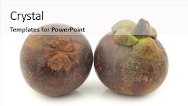  Presentation with mangosteen - PPT theme consisting of mangosteen fruits garcinia mangostana linn background and a white colored foreground