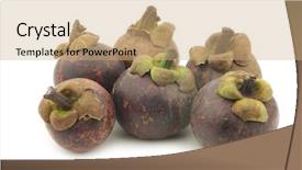  Presentation with mangosteen - PPT layouts consisting of mangosteen fruits garcinia mangostana linn background and a coral colored foreground