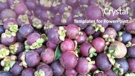  Presentation with mangosteen - Cool new presentation theme with mangosteen backdrop and a coral colored foreground