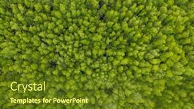  Presentation with rivers - Amazing slide set having mangrove-forest-and-rivers backdrop and a tawny brown colored foreground