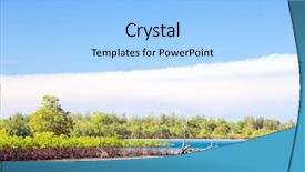  Presentation with mangrove - Amazing PPT theme having mangrove forest coast in surin island national park phuket thailand backdrop and a light blue colored foreground