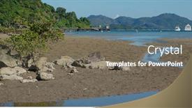  Presentation with river forest - Amazing theme having mangrove-forest-with-river backdrop and a gray colored foreground