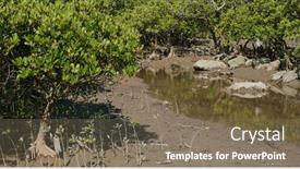  Presentation with river forest - PPT theme having mangrove-forest-with-river background and a violet colored foreground