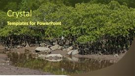  Presentation with river forest - Colorful slide set enhanced with mangrove-forest-with-river backdrop and a tawny brown colored foreground