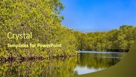  Presentation with mangrove - Slide set enhanced with mangrove-of-padre-ramos-natural background and a tawny brown colored foreground