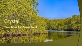  Presentation with mangrove - Cool new theme with mangrove-of-padre-ramos-natural backdrop and a tawny brown colored foreground