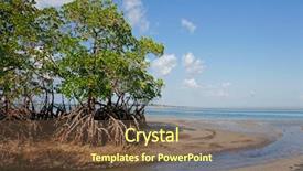  Presentation with tide - PPT theme enhanced with mangrove tree at low tide background and a tawny brown colored foreground