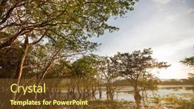  Presentation with sri lanka - Slides featuring mangrove-tree-on-the-tropical background and a tawny brown colored foreground