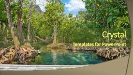  Presentation with water bamboo - Presentation theme with mangrove trees along the turquoise background and a tawny brown colored foreground