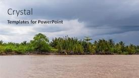  Presentation with palm leaves - Presentation theme with mangrove-trees-and-palm-leaves background and a light blue colored foreground