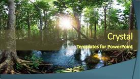  Presentation with water river - PPT theme consisting of mangrove trees in a peat background and a tawny brown colored foreground
