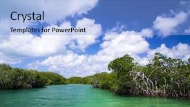  Presentation with mangrove - Slide deck enhanced with politics - impeached - impeachment 3d rendering background and a teal colored foreground