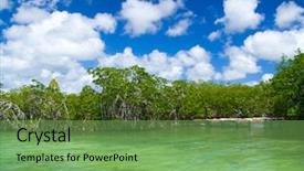  Presentation with caribbean - Amazing presentation theme having mangrove trees in caribbean sea backdrop and a seafoam green colored foreground