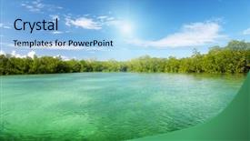  Presentation with mangrove - Cool new presentation theme with mangrove trees in caribbean sea backdrop and a light blue colored foreground