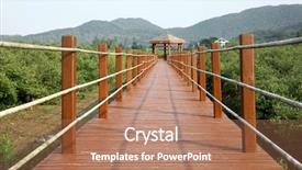  Presentation with mangrove - Colorful presentation theme enhanced with mangroves - boardwalk through mangrove forest backdrop and a coral colored foreground