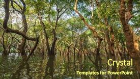  Presentation with village - Beautiful slides featuring mangroves - flooded trees in mangrove rain backdrop and a tawny brown colored foreground