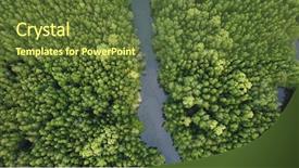  Presentation with mangrove - PPT theme featuring mangroves - mangrove forest aerial photo background and a tawny brown colored foreground