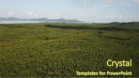  Presentation with mangrove - Cool new PPT layouts with mangroves - mangrove forest aerial photo backdrop and a tawny brown colored foreground