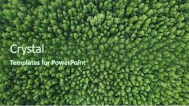  Presentation with mangrove - PPT theme with mangroves - mangrove forest aerial photo background and a tawny brown colored foreground