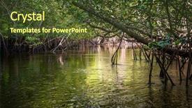  Presentation with indonesia - Colorful PPT layouts enhanced with mangroves - mangrove on bintan island backdrop and a tawny brown colored foreground