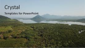  Presentation with swamp - Theme enhanced with mangroves - mangrove swamp or forest aerial background and a light blue colored foreground