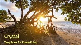 Presentation with florida - Presentation theme consisting of mangroves - mangrove tree in florida coast background and a tawny brown colored foreground