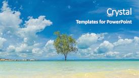  Presentation with mangrove - Slide set having mangroves - mangrove tree stands alone background and a teal colored foreground