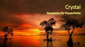  Presentation with mangrove - Cool new slide set with hope wholeness - dove against the blue sky backdrop and a  colored foreground.