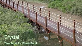  Presentation with mangrove - Amazing slide set having mangroves - nature trail in mangrove forest backdrop and a tawny brown colored foreground