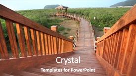  Presentation with mangrove - Presentation design consisting of mangroves - nature trail in mangrove forest background and a red colored foreground