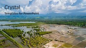  Presentation with mangrove - Cool new PPT layouts with mangroves - overview of the mangrove biotope backdrop and a light blue colored foreground