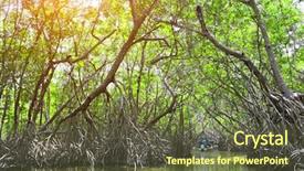  Presentation with boating - Slide deck with mangroves - people boating in mangrove forest background and a tawny brown colored foreground