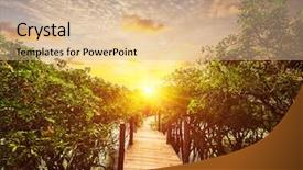  Presentation with forest bridge - PPT layouts featuring mangroves - tropical exotic travel concept background and a lemonade colored foreground