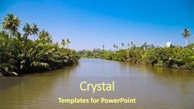  Presentation with mangrove - Cool new slides with mangroves - tropical river flows through mangrove backdrop and a coral colored foreground