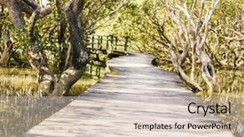  Presentation with mangrove - PPT layouts featuring mangroves - wodden path and trees background and a lemonade colored foreground