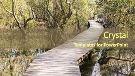  Presentation with mangrove - Cool new slides with mangroves - wodden path and trees backdrop and a violet colored foreground