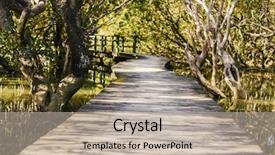  Presentation with mangrove - Theme enhanced with mangroves - wodden path and trees background and a mint green colored foreground