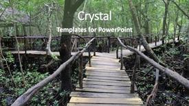  Presentation with zanzibar - Beautiful presentation theme featuring mangroves - wooden bridge in mangrove forest backdrop and a ocean colored foreground