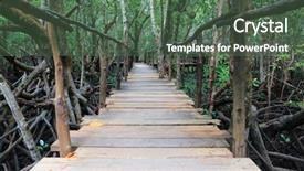  Presentation with zanzibar - Cool new presentation design with mangroves - wooden bridge in mangrove forest backdrop and a ocean colored foreground