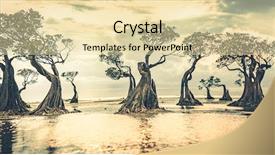  Presentation with water ocean - Slides enhanced with mangroves sumba island indonesia ideal background and a blonde colored foreground