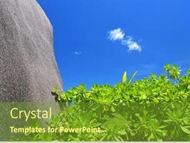 Mangroves With Granite Rock PPT template 61 | CrystalGraphics