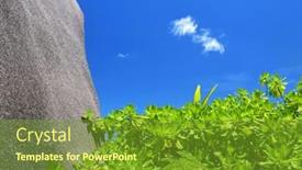  Presentation with granite - Presentation theme having mangroves-with-granite-rock background and a tawny brown colored foreground