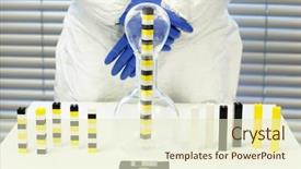  Presentation with mankind - Cool new presentation theme with mankind races - ethnic and multi backdrop and a soft green colored foreground