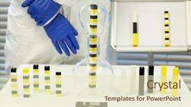  Presentation with mankind - Theme having mankind races - ethnic and multi background and a soft green colored foreground